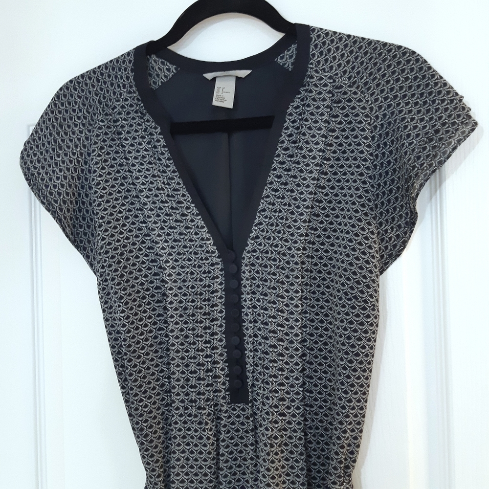 Mint H&M Blue and White Dress